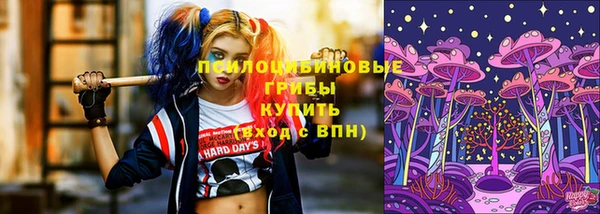 соль ск Сатка