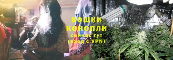 прущий лед Дмитриев